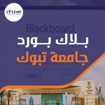 كيفية التسجيل في بلاك بورد جامعة تبوك