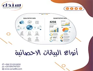 أنواع البيانات الإحصائية| دليل شامل لفهمها وتحليلها