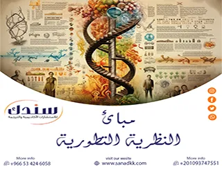 مبادئ النظرية التطورية: ركائز تفسير السلوك البشري